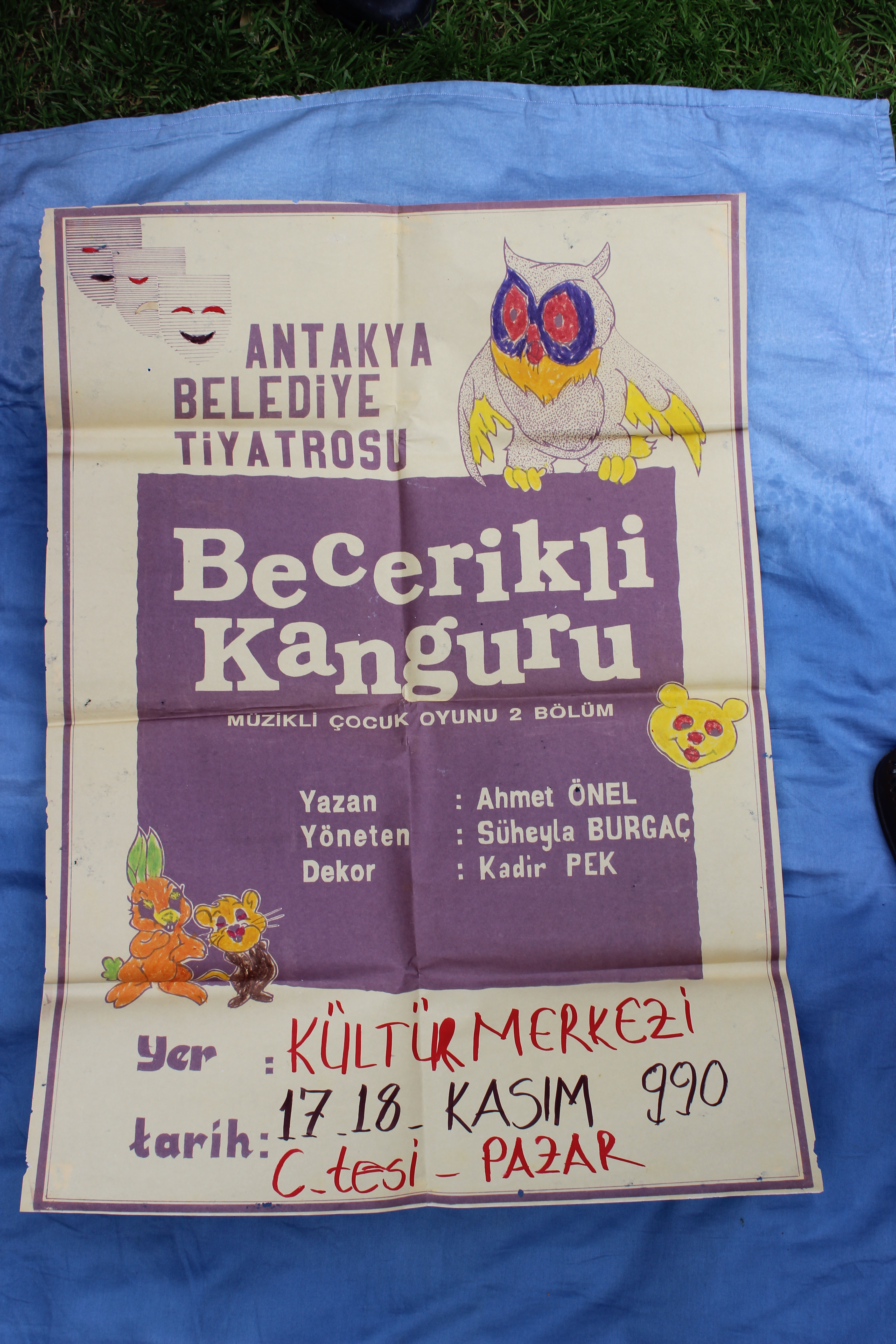 Becerikli Kanguru